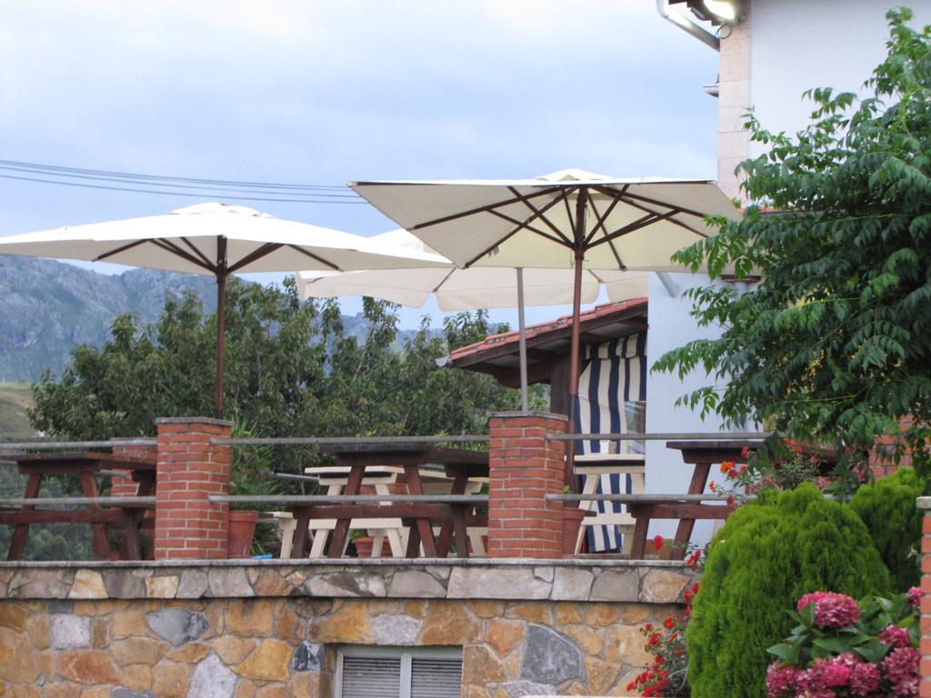 Hotel Migal